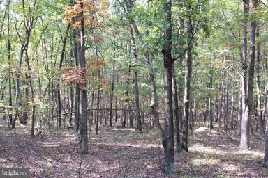 4546 Davids Rd - Photo 1