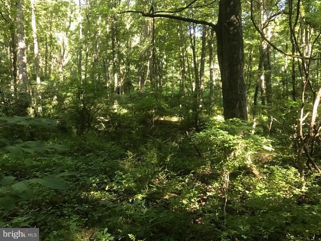 Timberline Dr. - Photo 1