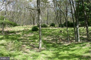 Orndorff Way - Photo 1