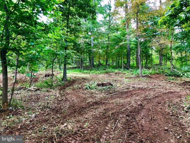 5.46 AC Old Finksburg - Photo 1