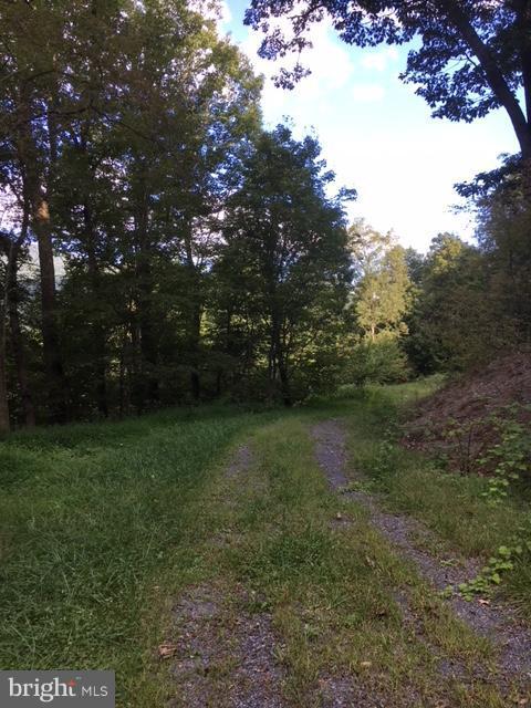 10400 Summit Chase Drive - Photo 1