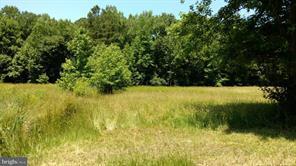 0 Worcester Highway - Photo 1
