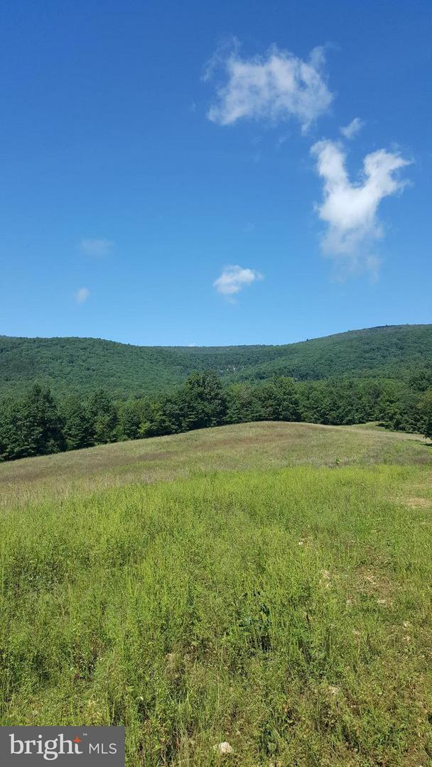 Dellinger Gap Road - Photo 1