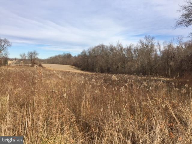 LOT Frye Road - Photo 1
