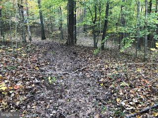 7302 Hidden Brook Road - Photo 1