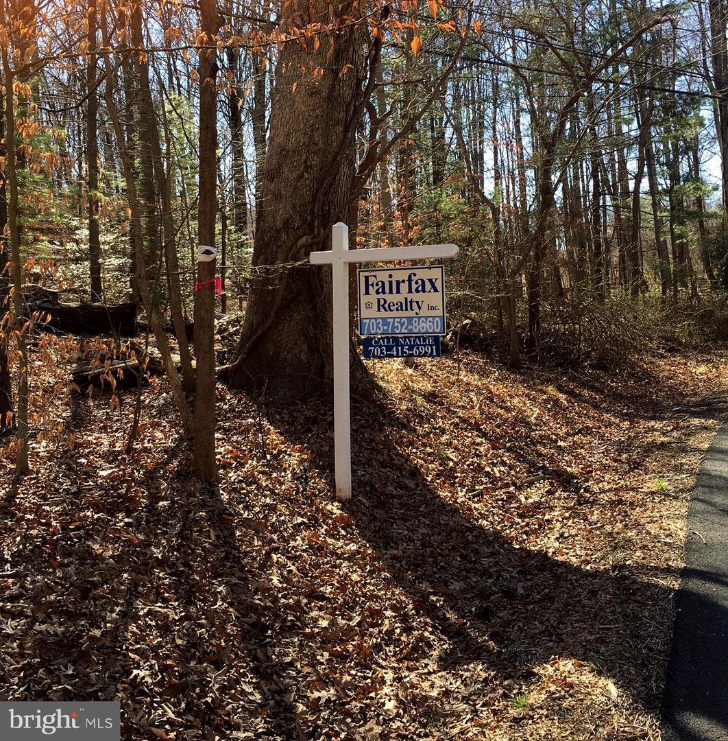 10223 Beach Mill Road - Photo 1