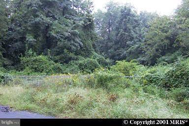 7408 Mcwhorter Place - Photo 1