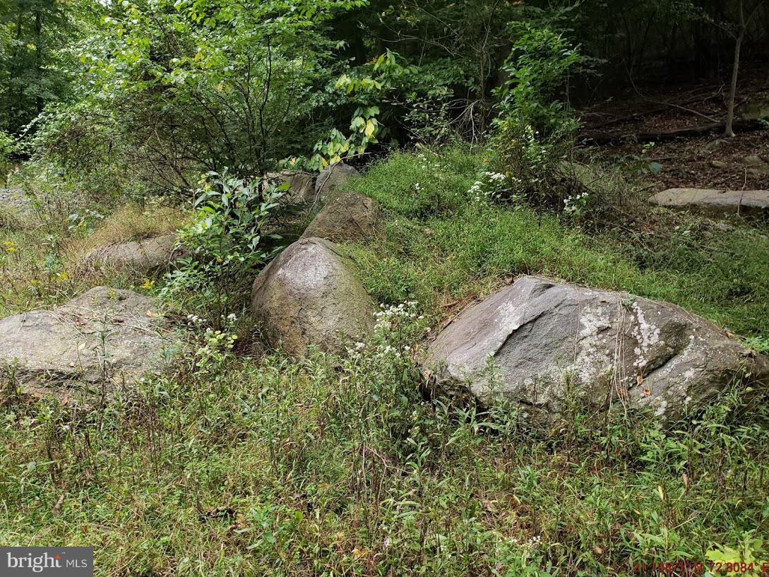Lot 1 Granite Quarry Road - Photo 1