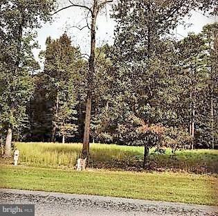 16546 Retreat Circle - Photo 1