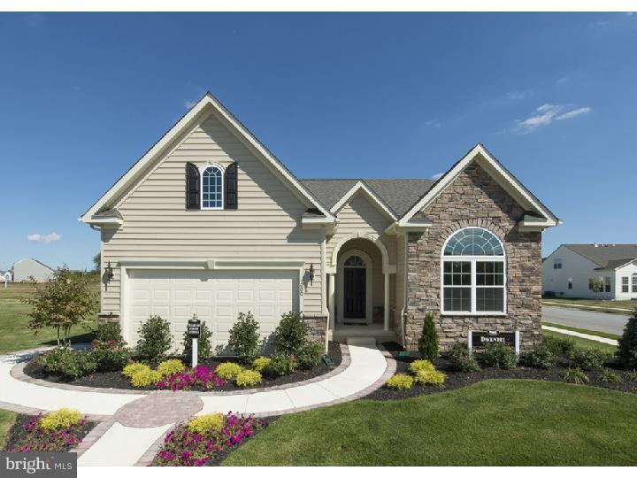 1453 Climbing Vine Avenue - Photo 1