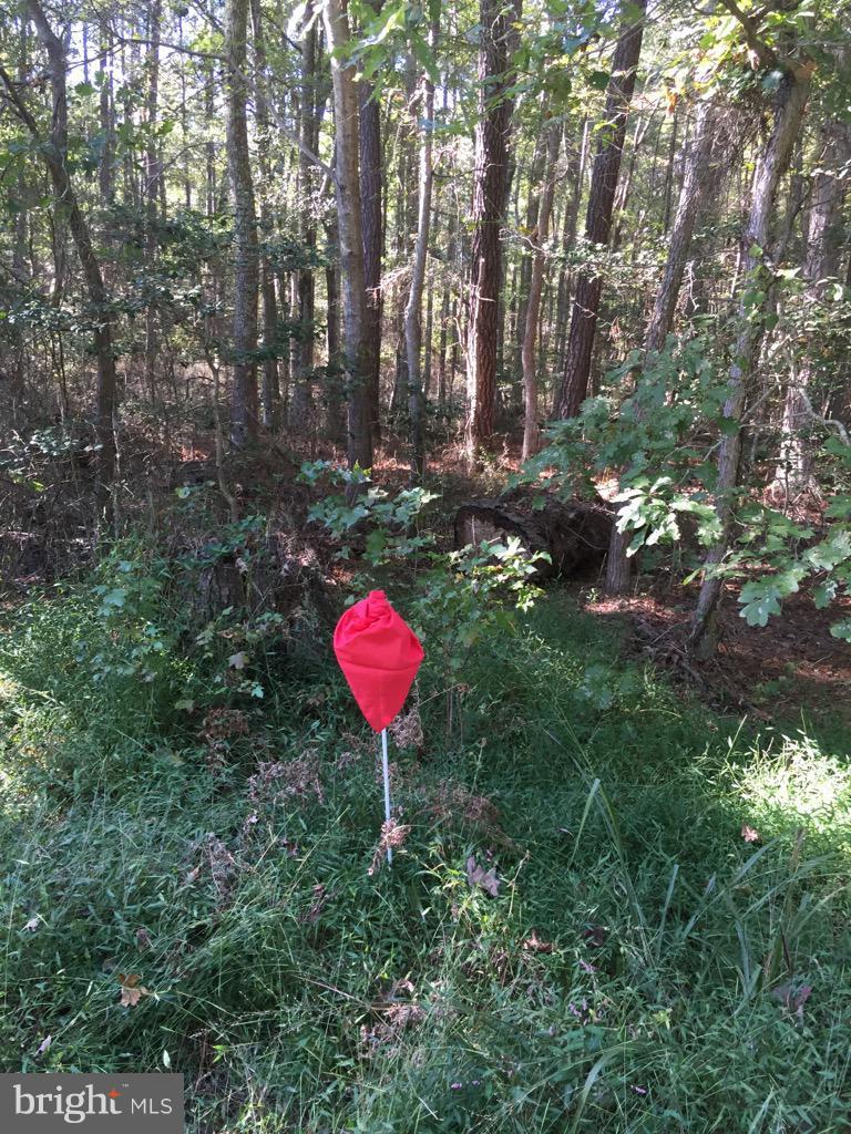 Porter Road - Photo 1
