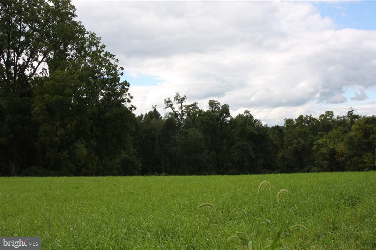 1112 Klines Run Road - Photo 1