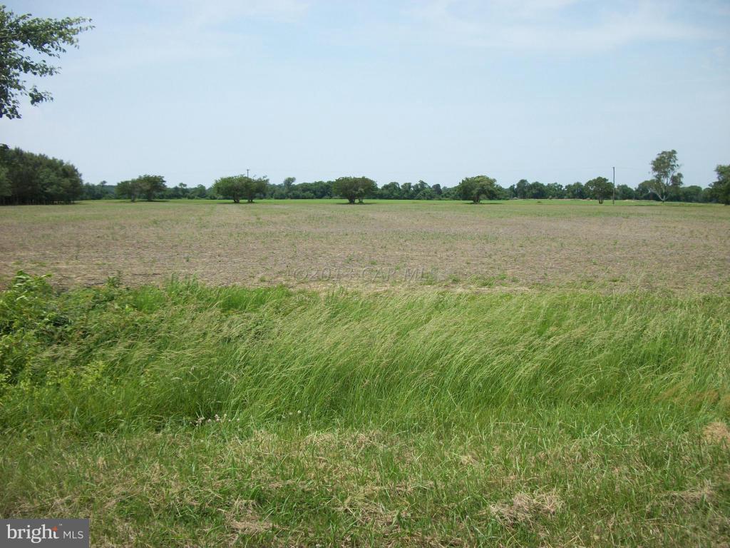14200 Melody Drive - Photo 1