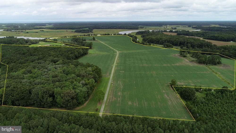 29098 Revells Neck Road - Photo 1