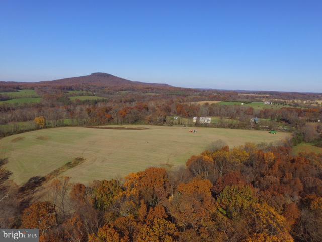 23000 Harris Road - Photo 1