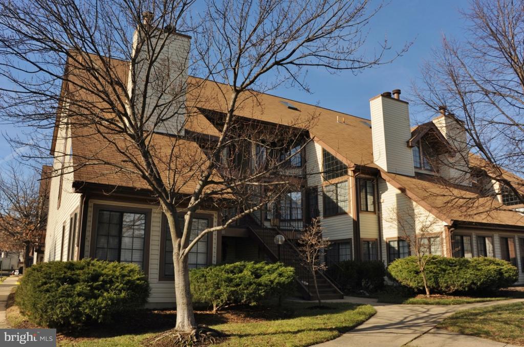6008 F Curtier Drive - Photo 1