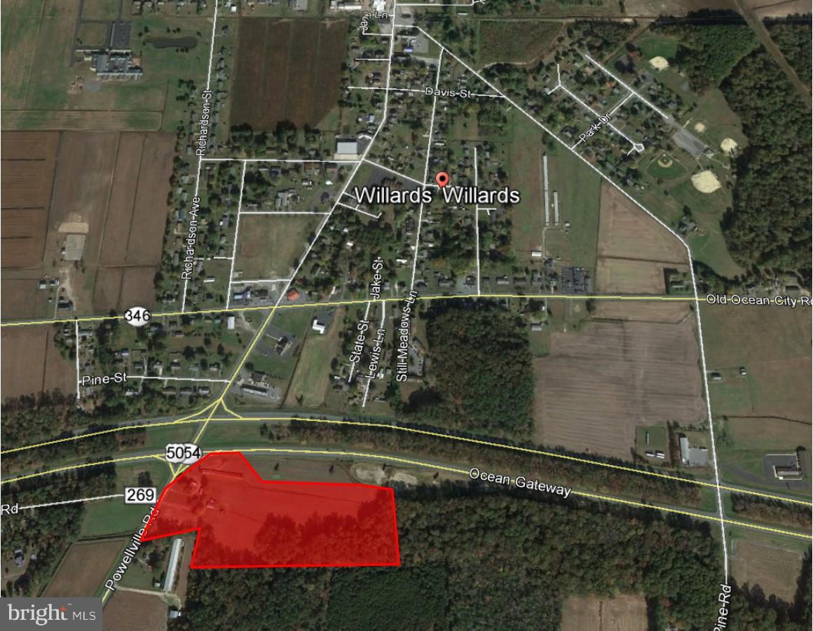 7135 Powellville Rd & Rt. 50 - Photo 1