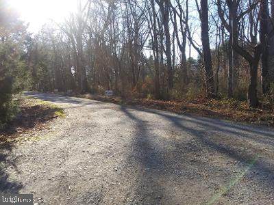 Lot 117 Covey Rd Sinclair Avenue - Photo 1