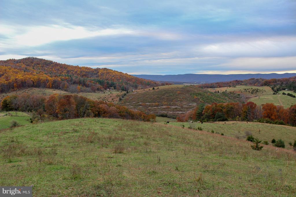 0 Gooney Manor Loop - Photo 1 0 Gooney Manor Loop - Photo 1