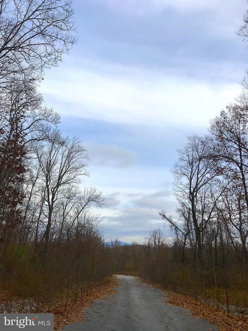 17 Rugged Trail - Photo 1