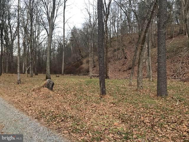 LOT 101 Mossy Oaks Road - Photo 1