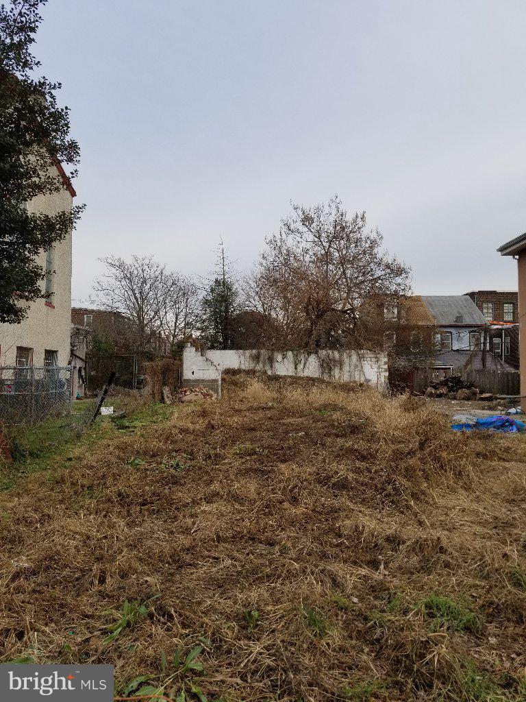 4353 Paul Street - Photo 1