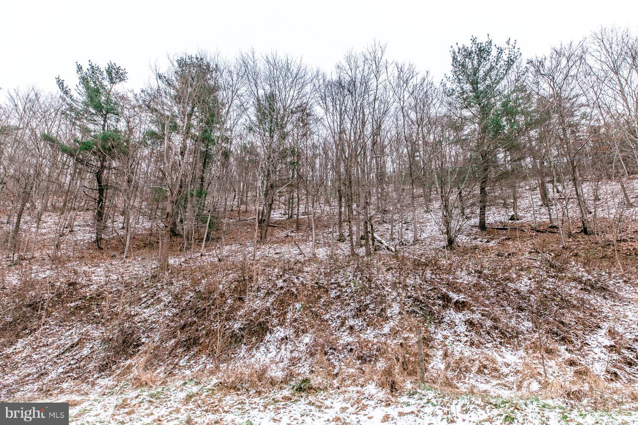 1167 Cubbage Hollow Road - Photo 1