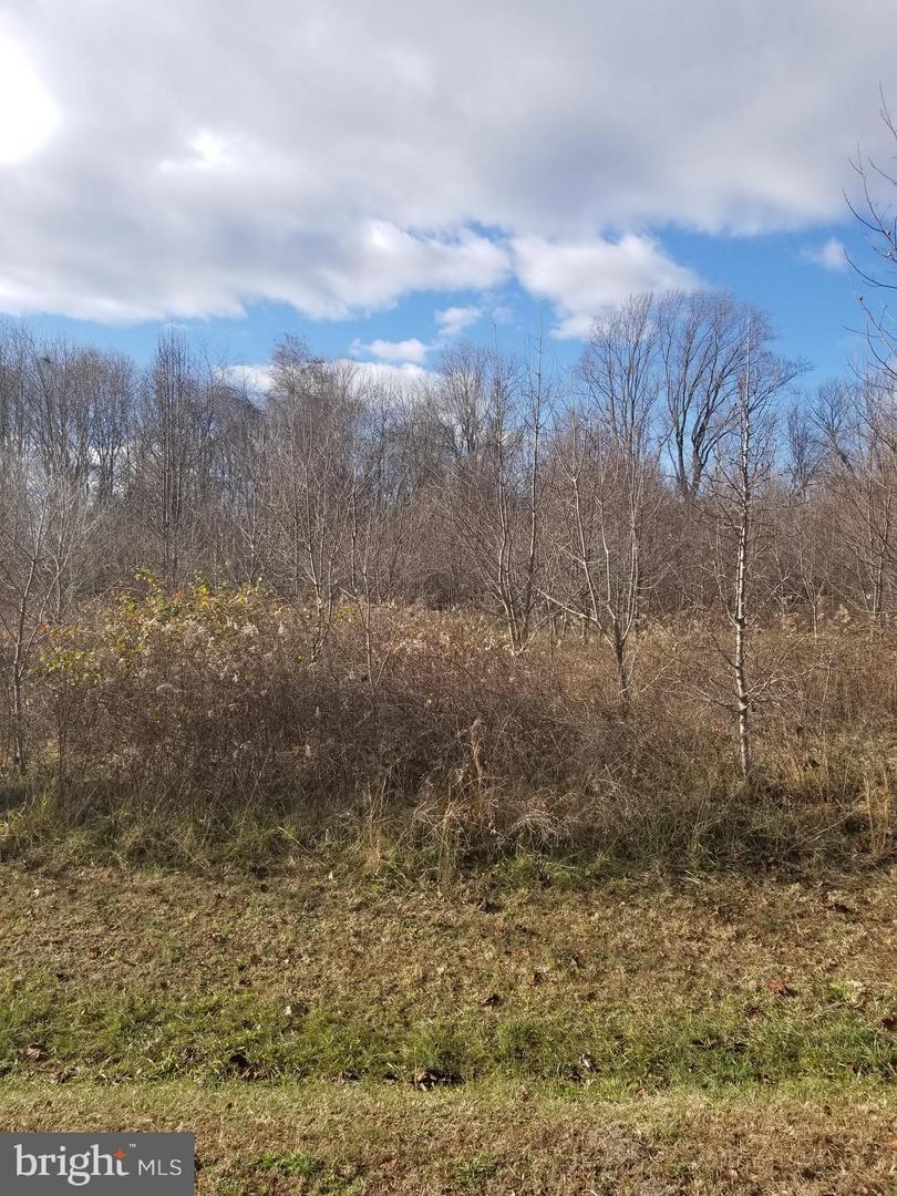#3 Bear Ct - Photo 1