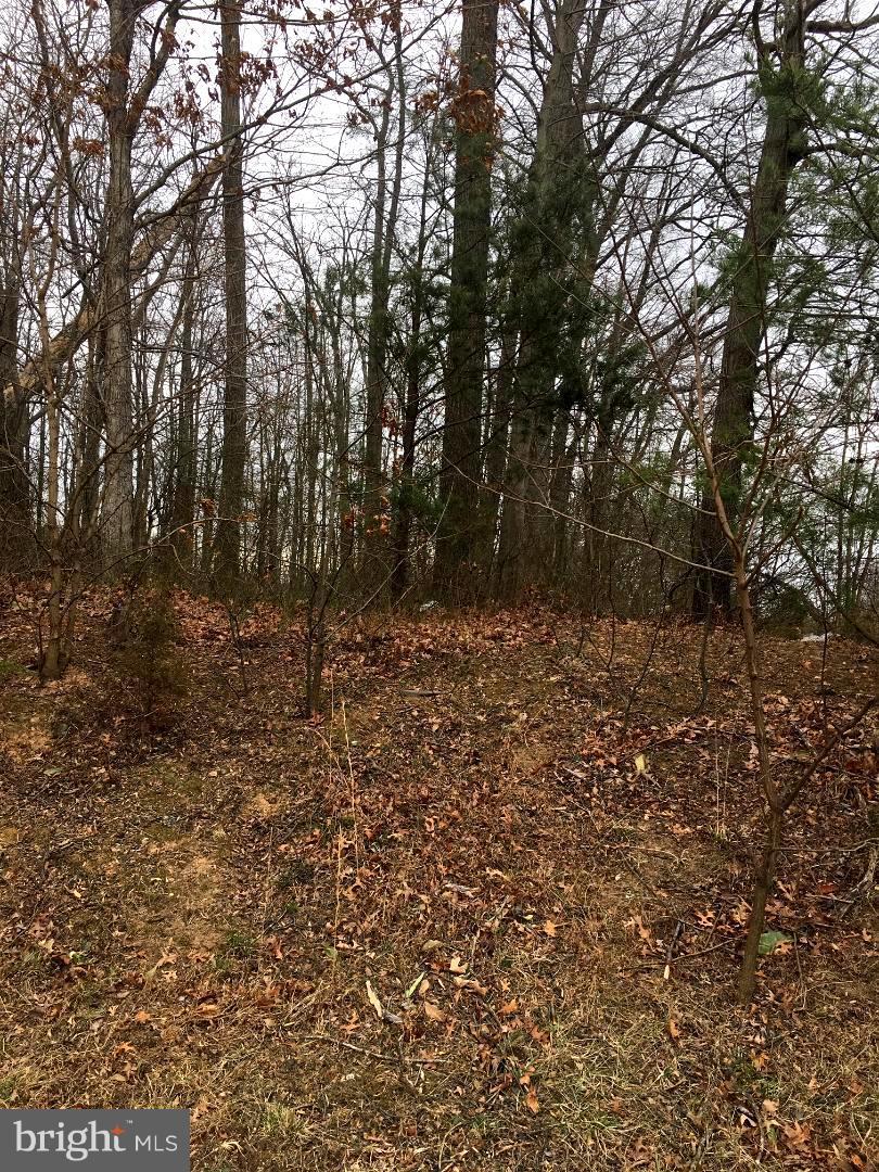 11318 Leesburg Pike - Photo 1