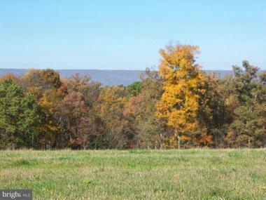 Posey Hollow - Photo 1