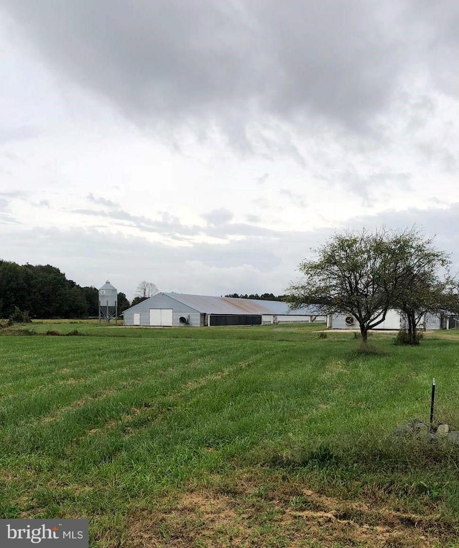 21595 Hill Road - Photo 1