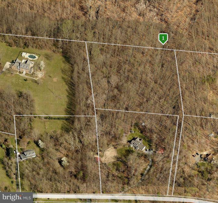 15850 Croom Airport Road - Photo 1