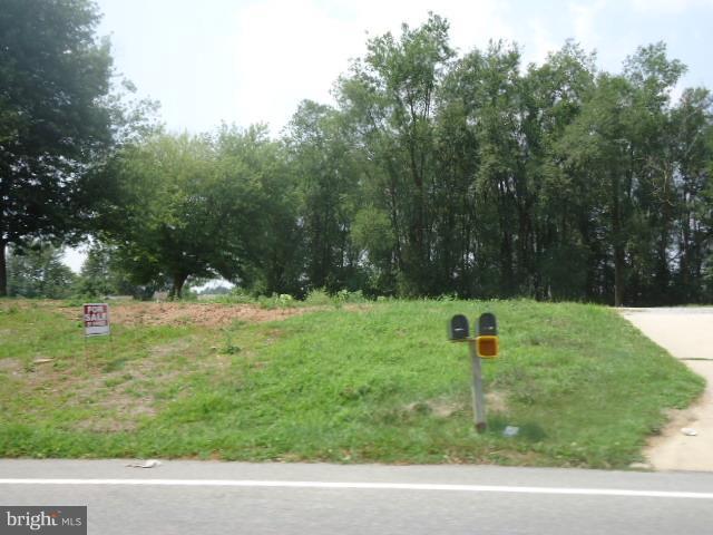 3085 Emig Mill Road - Photo 1