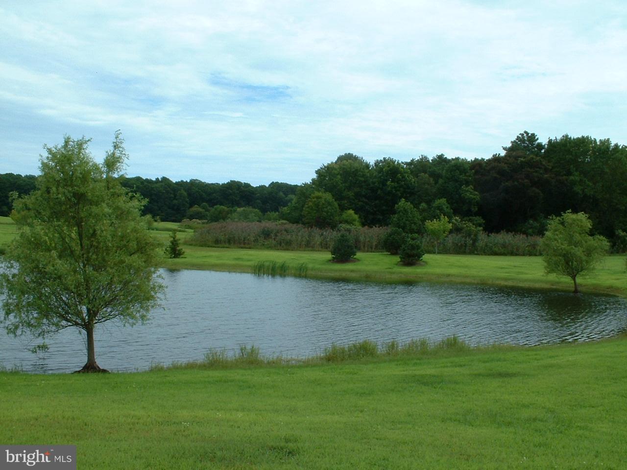 Lot 6 Newport Bay Drive - Photo 1