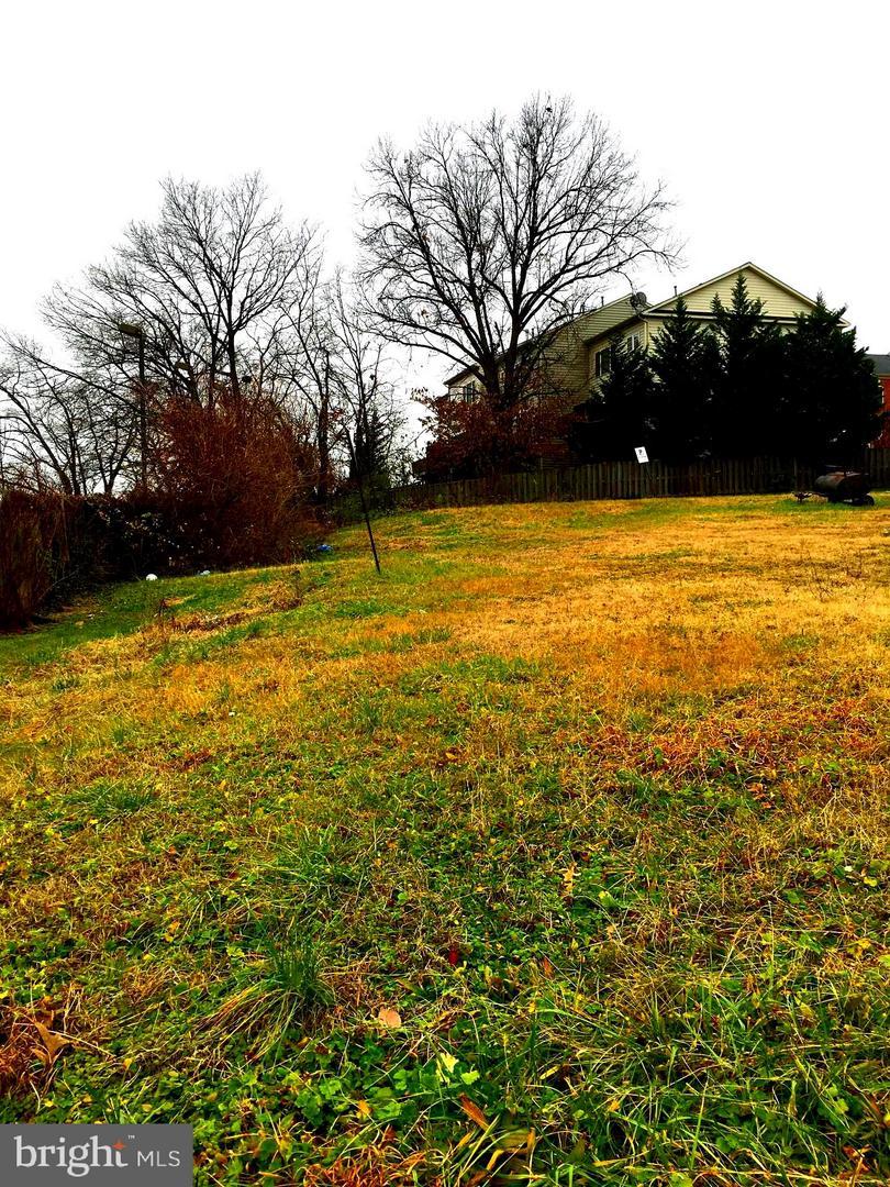 2608 Shirlington Road - Photo 1