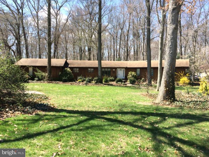 16 Stuart Drive - Photo 1