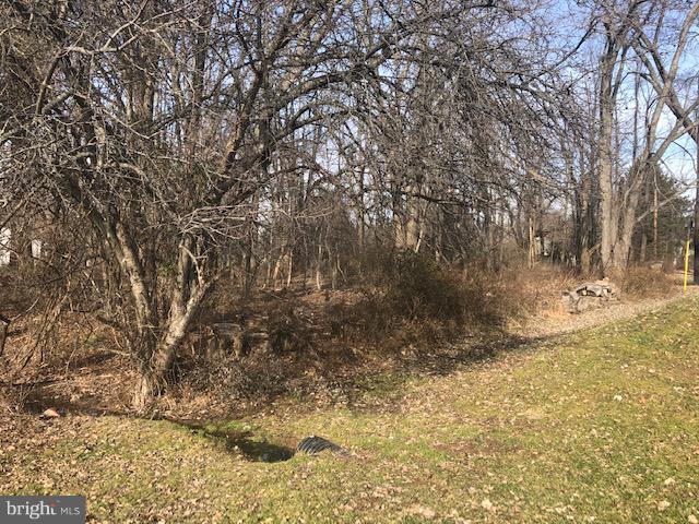 0 Midland Avenue - Photo 1