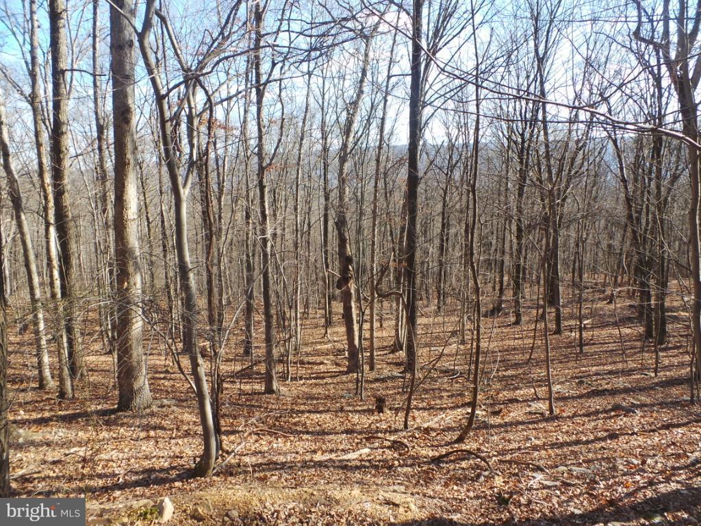 Stonedrifts - Photo 1