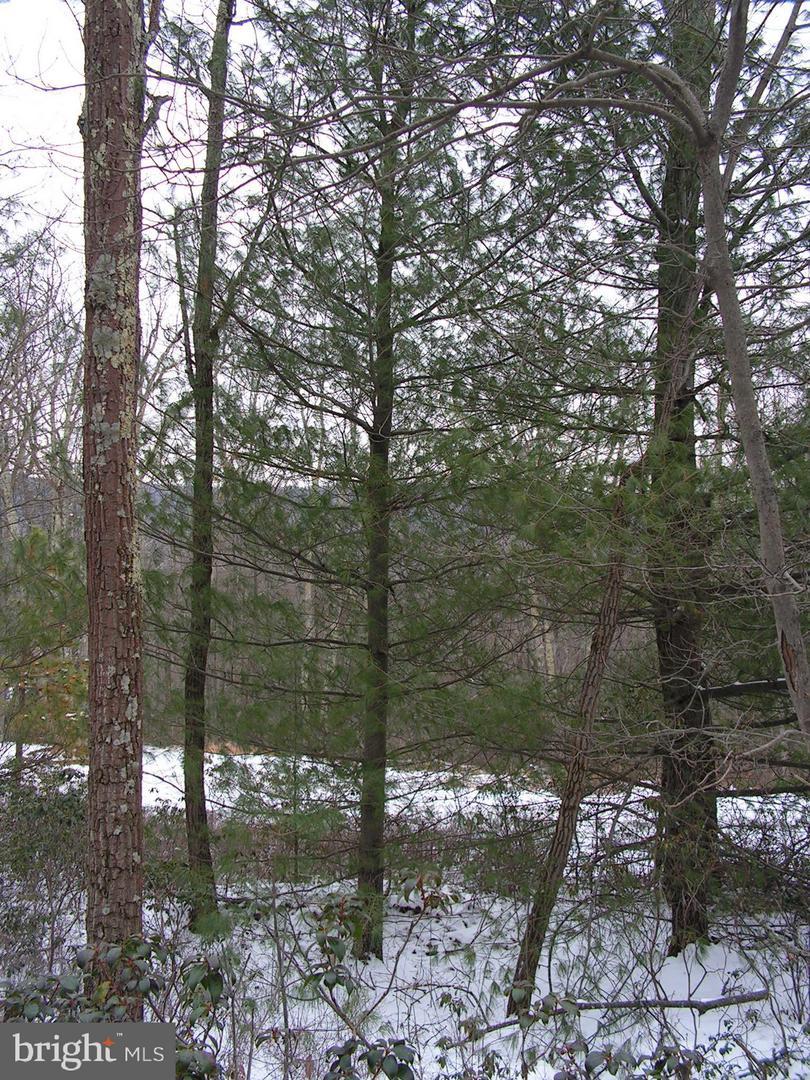 325 Hirschmann Road - Photo 1