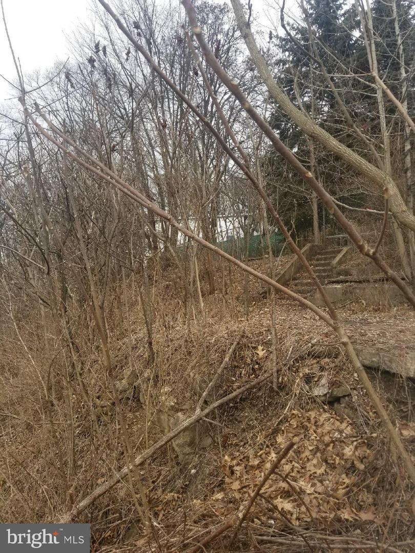 300 Jefferson Street - Photo 1