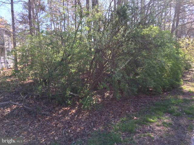 307 Ocean Parkway - Photo 1
