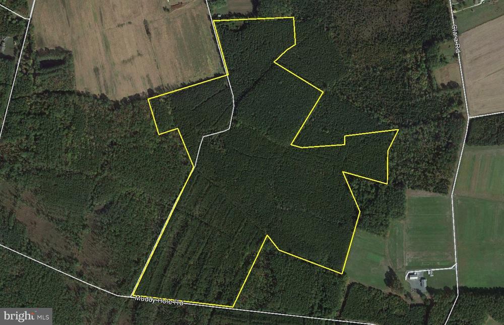 Muddy Hole Road - Photo 1