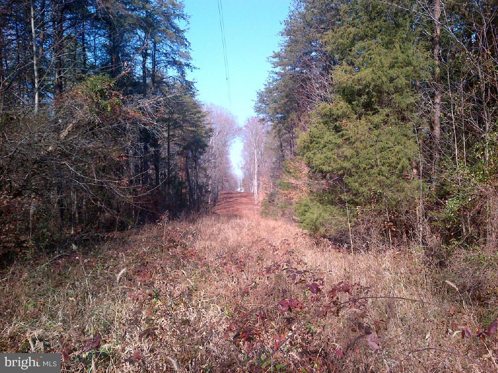 0 Stubbs Bridge Road - Photo 1