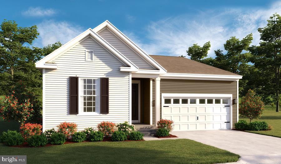 Chestnut Drive- Alexandrite - Photo 1