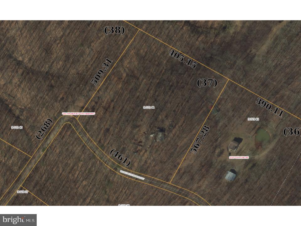 1402 Walnut Bottom Hideaway - Photo 1