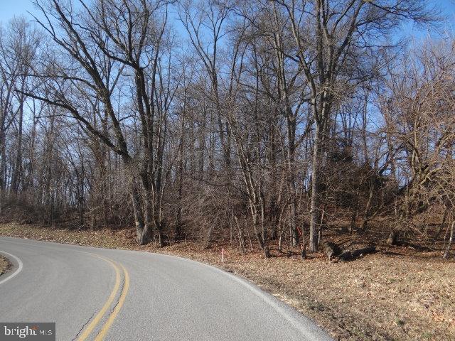 Henry Lane Lot 1 - Photo 1