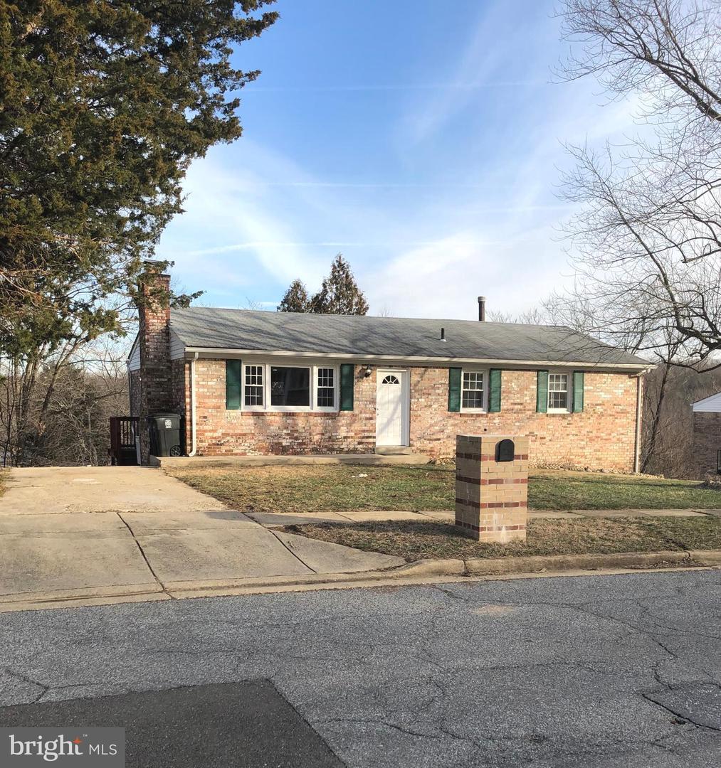 8704 Jolly Lane - Photo 1