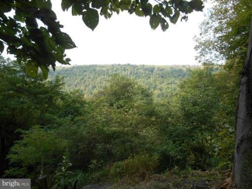 Kuhn Mine Road - Photo 1