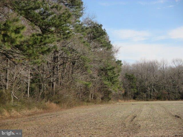 0 Parker Road - Photo 1