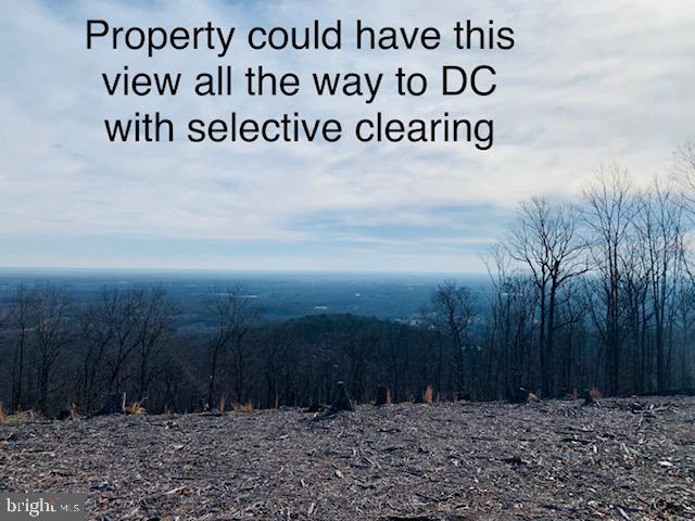 17043 Waterfall Road - Photo 1